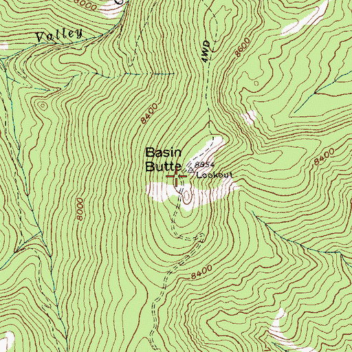 Topographic Map of Basin Butte, ID
