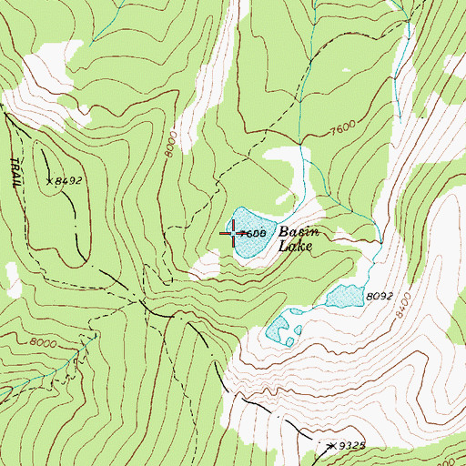 Topographic Map of Basin Lake, ID