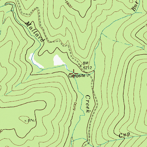 Topographic Map of Bat Creek, ID