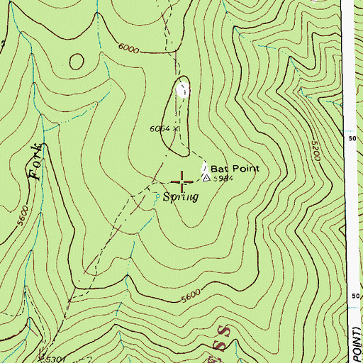 Topographic Map of Bat Point, ID