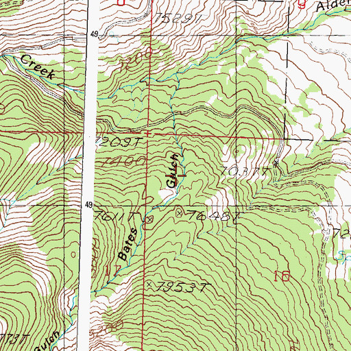 Topographic Map of Bates Gulch, ID
