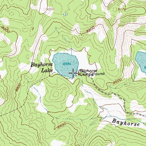 Topographic Map of Bayhorse Campground, ID