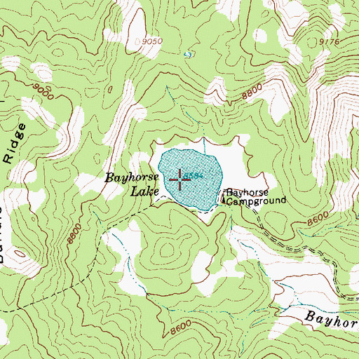 Topographic Map of Bayhorse Lake, ID