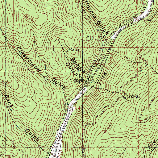 Topographic Map of Beagle Gulch, ID