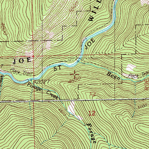 Topographic Map of Bean Creek, ID