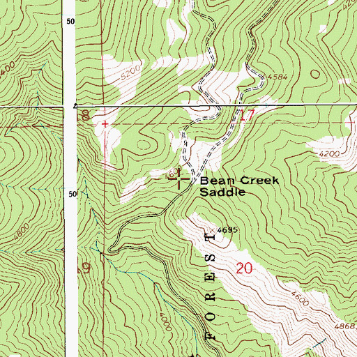 Topographic Map of Bean Creek Saddle, ID