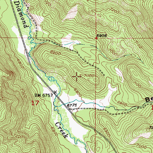 Topographic Map of Bear Canyon, ID