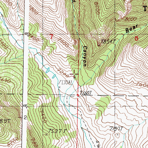 Topographic Map of Bear Canyon, ID