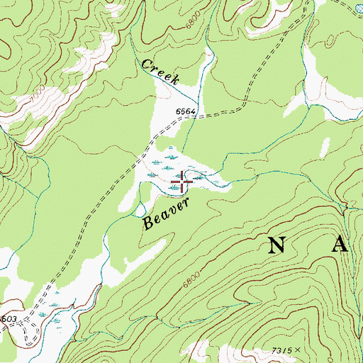 Topographic Map of Bear Creek, ID