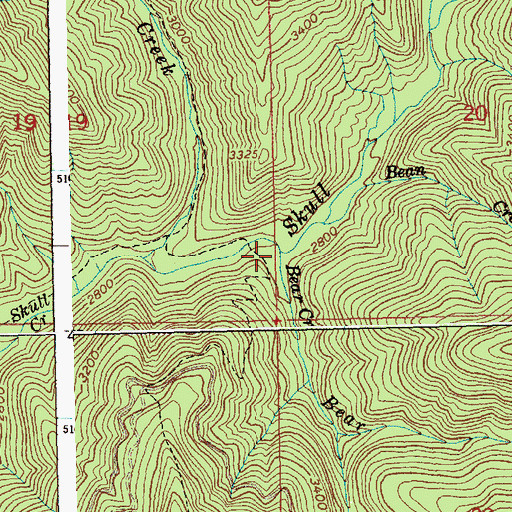Topographic Map of Bear Creek, ID