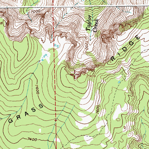 Topographic Map of Bear Grass Ridge, ID