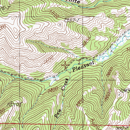 Topographic Map of Bear Pen Creek, ID