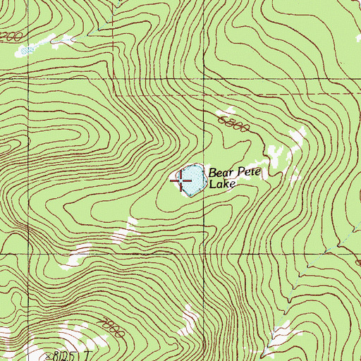 Topographic Map of Bear Pete Lake, ID