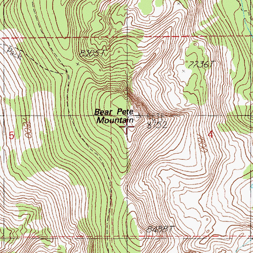 Topographic Map of Bear Pete Mountain, ID