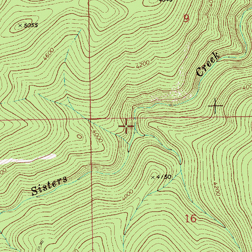 Topographic Map of Bear Skull Creek, ID