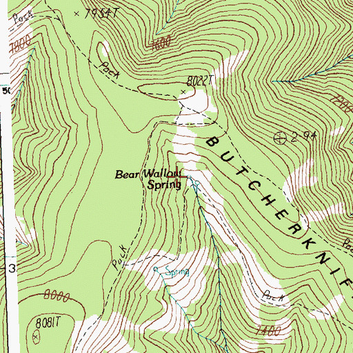 Topographic Map of Bear Wallow Spring, ID
