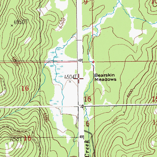 Topographic Map of Bearskin Meadows, ID