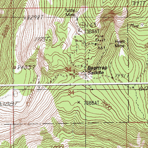 Topographic Map of Beartrap Saddle, ID