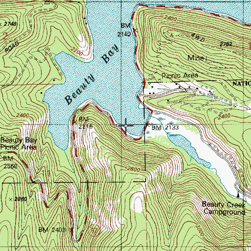 Topographic Map of Beauty Creek, ID