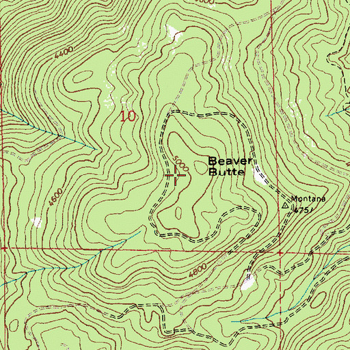 Topographic Map of Beaver Butte, ID