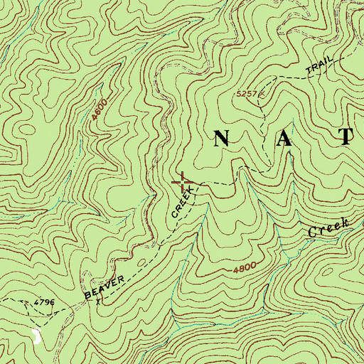 Topographic Map of Beaver Creek Trail, ID
