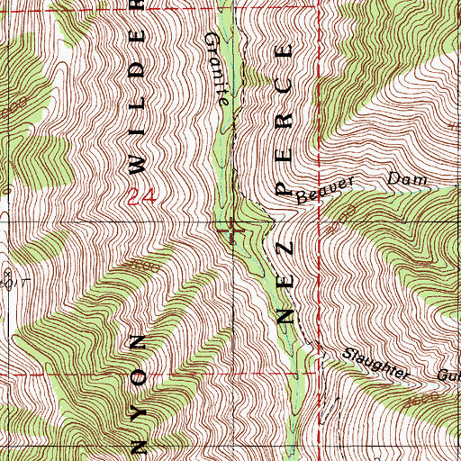 Topographic Map of Beaver Dam Creek, ID