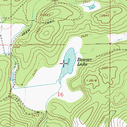 Topographic Map of Beaver Lake, ID