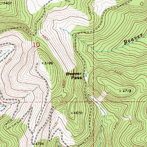 Topographic Map of Beaver Pass, ID
