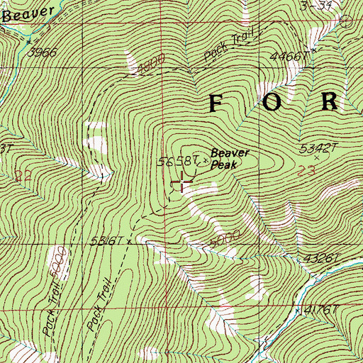 Topographic Map of Beaver Peak, ID