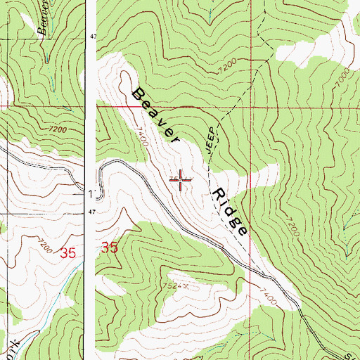 Topographic Map of Beaver Ridge, ID