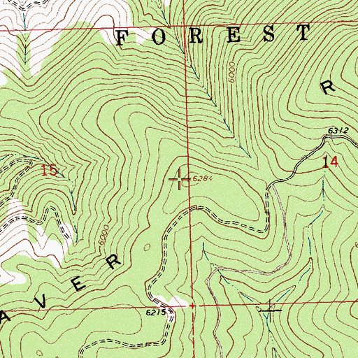 Topographic Map of Beaver Ridge, ID