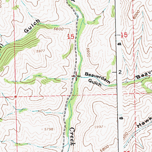 Topographic Map of Beaverdam Gulch, ID