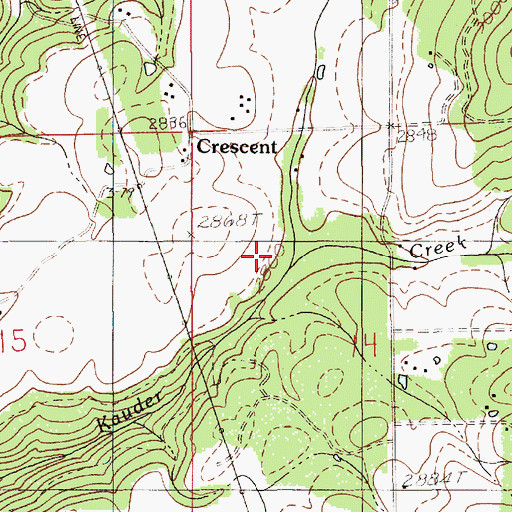 Topographic Map of Bedbug Creek, ID