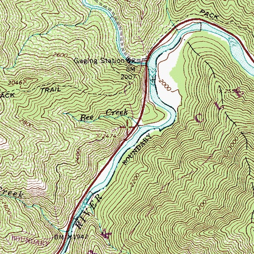 Topographic Map of Bee Creek, ID