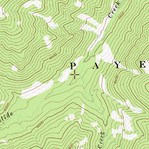 Topographic Map of Beehive Creek, ID