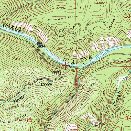 Topographic Map of Beetle Creek, ID