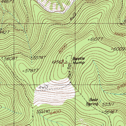 Topographic Map of Beetle Hump, ID