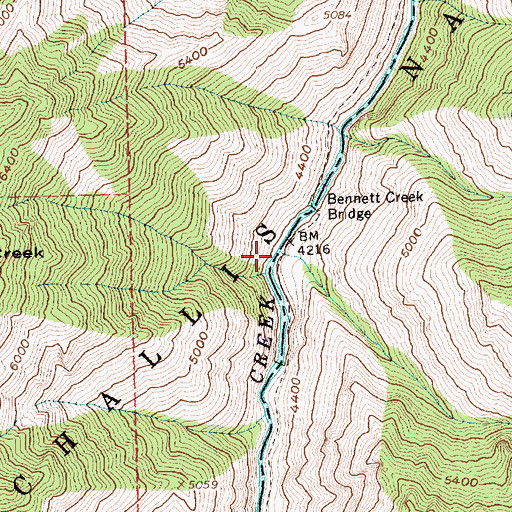 Topographic Map of Bennett Creek, ID
