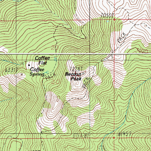 Topographic Map of Benton Peak, ID