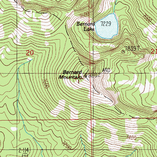 Topographic Map of Bernard Mountain, ID