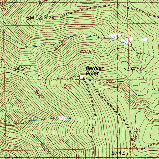 Topographic Map of Bernier Point, ID