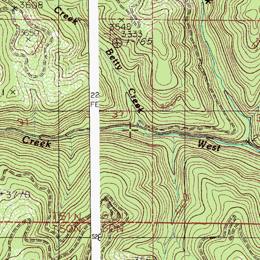 Topographic Map of Betty Creek, ID