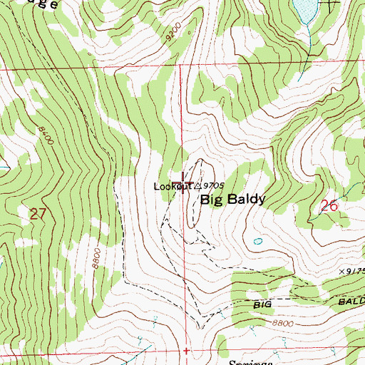 Topographic Map of Big Baldy, ID