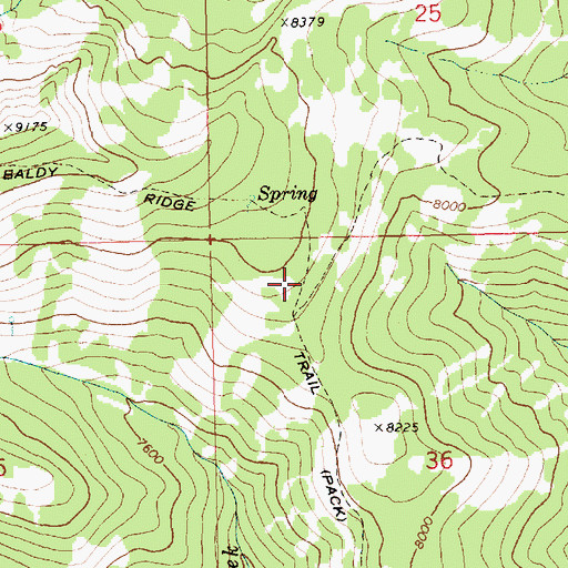 Topographic Map of Big Baldy Ridge Trail, ID