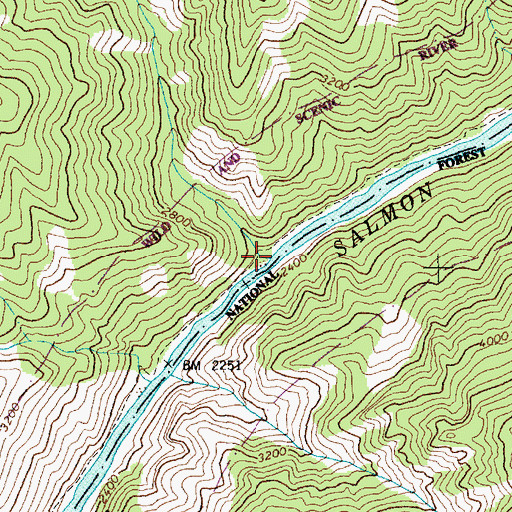 Topographic Map of Big Blowout Creek, ID