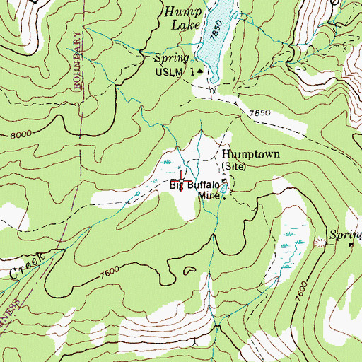 Topographic Map of Big Buffalo Mine, ID