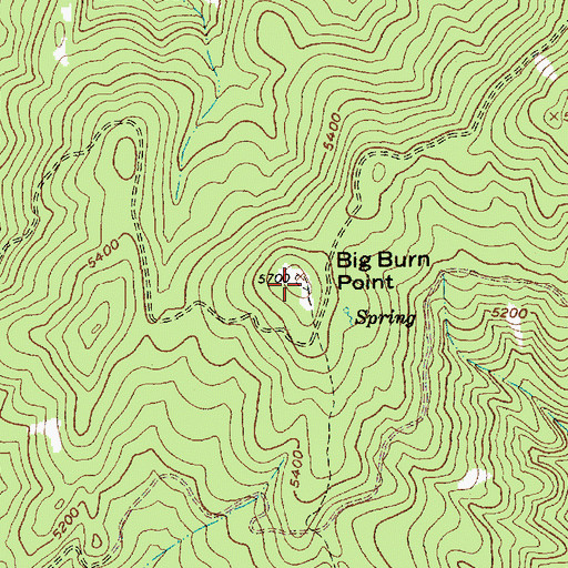 Topographic Map of Big Burn Point, ID