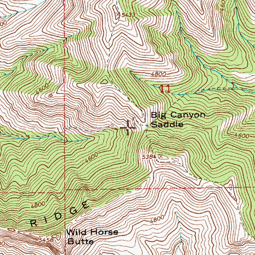 Topographic Map of Big Canyon Saddle, ID