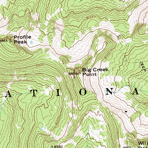 Topographic Map of Big Creek Point, ID
