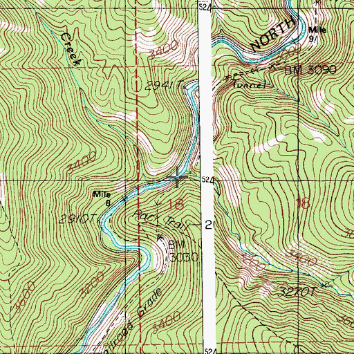 Topographic Map of Big Dick Creek, ID
